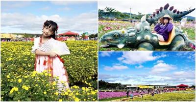 苗栗銅鑼活動|2023銅鑼杭菊芋頭節，賞花、拍恐龍花海、逛市集，交通路線會場|拍照景點