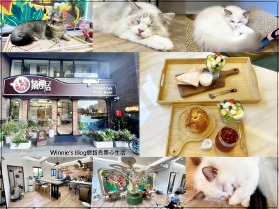 ★新北．吃喝玩樂★貓裡居Dessert Cafe&Cat Hotel~林口貓咪咖啡館下午茶/貓咪旅館/蛋糕甜點輕食/菜單/近林口高中林口運動公園