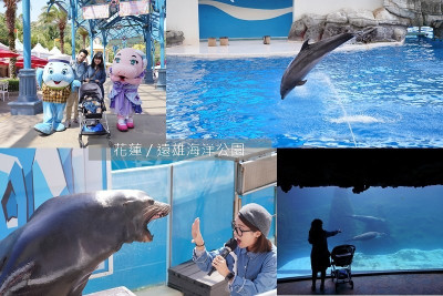 花蓮遠雄海洋公園｜花蓮親子景點｜花蓮景點｜海獅海豚表演秀｜