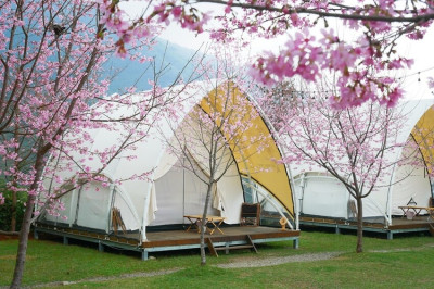 【蟬說：霧繞】新竹五峰鄉白蘭部落,夢幻豪華露營區,一泊二食,內文優惠碼