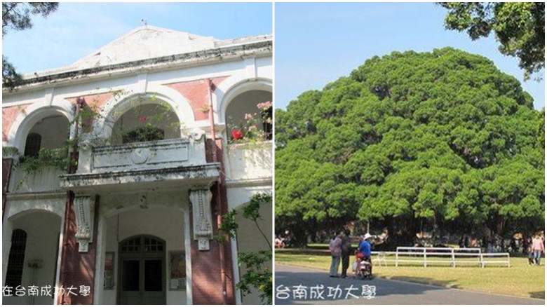 成功大學