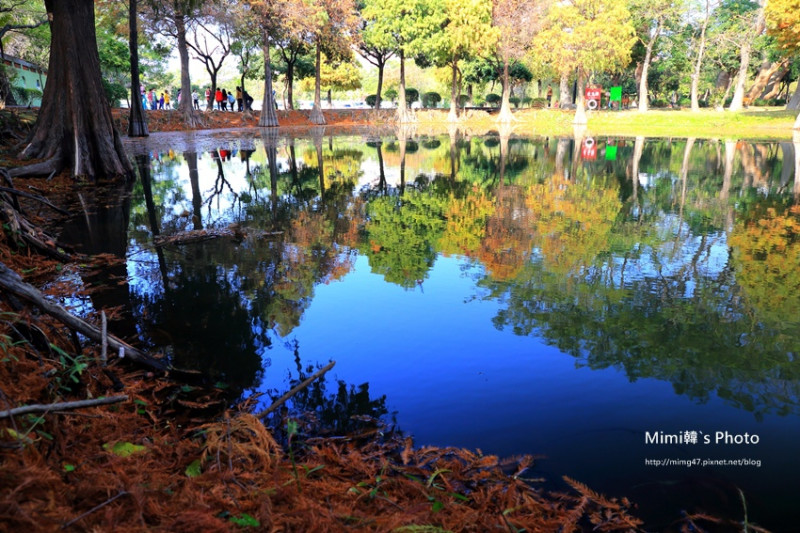 【台南景點】東區．巴克禮公園：屬於台南的落羽松，紅了!! 享受充滿秋冬氣息的北國風情，很喜歡~